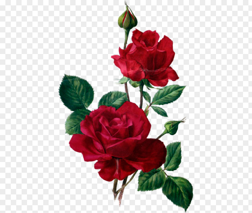 Poemas Cortos De Rosas Azules Decoupage Paper Gift Rose Flower PNG