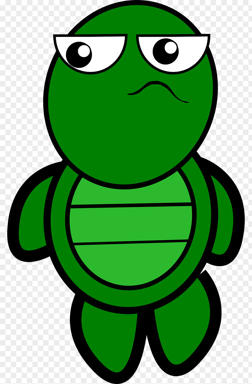 Arrogance Turtle Free Content Clip Art PNG