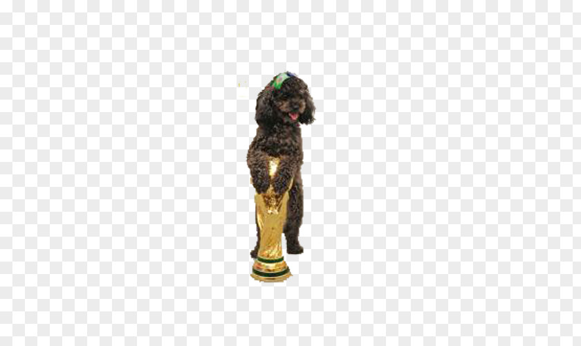 Dog Awards Boykin Spaniel Award Pet Breed PNG