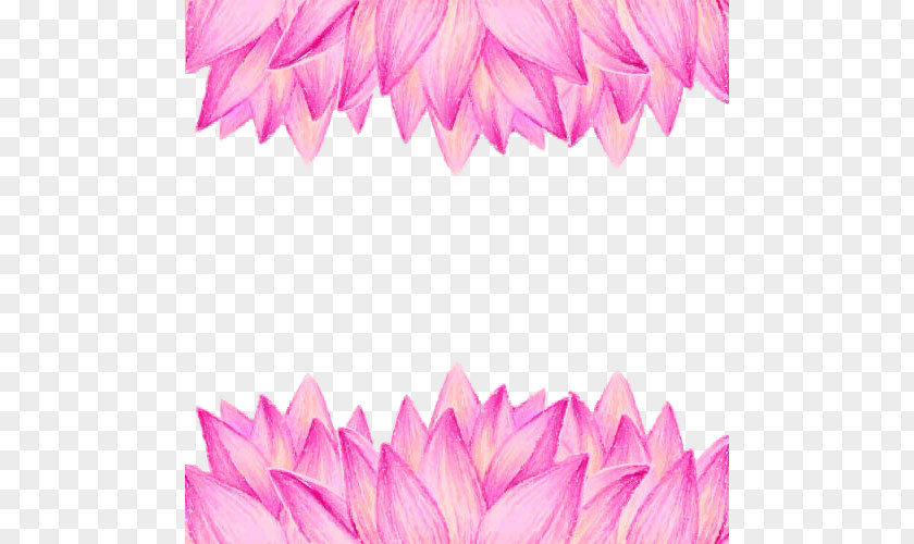 Floral Background Nelumbo Nucifera Buddhism Flower Euclidean Vector PNG