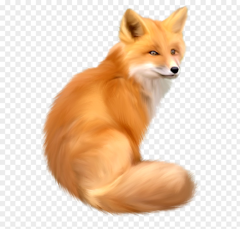 Fox Red Clip Art PNG