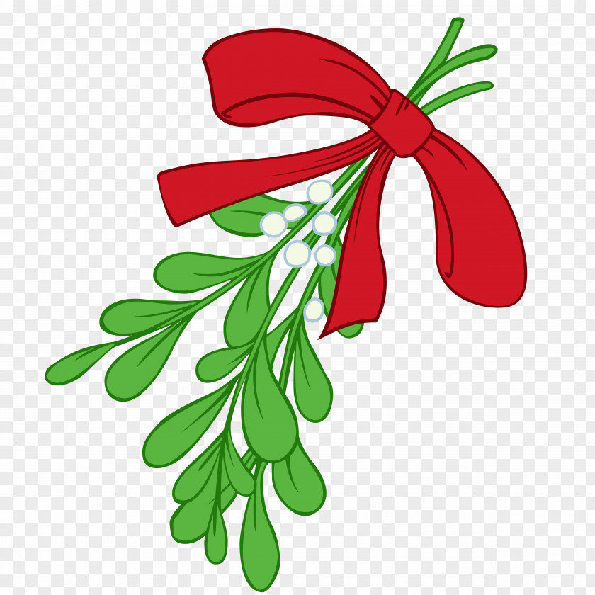 How To Draw A Mistletoe Phoradendron Tomentosum Candy Cane Clip Art PNG