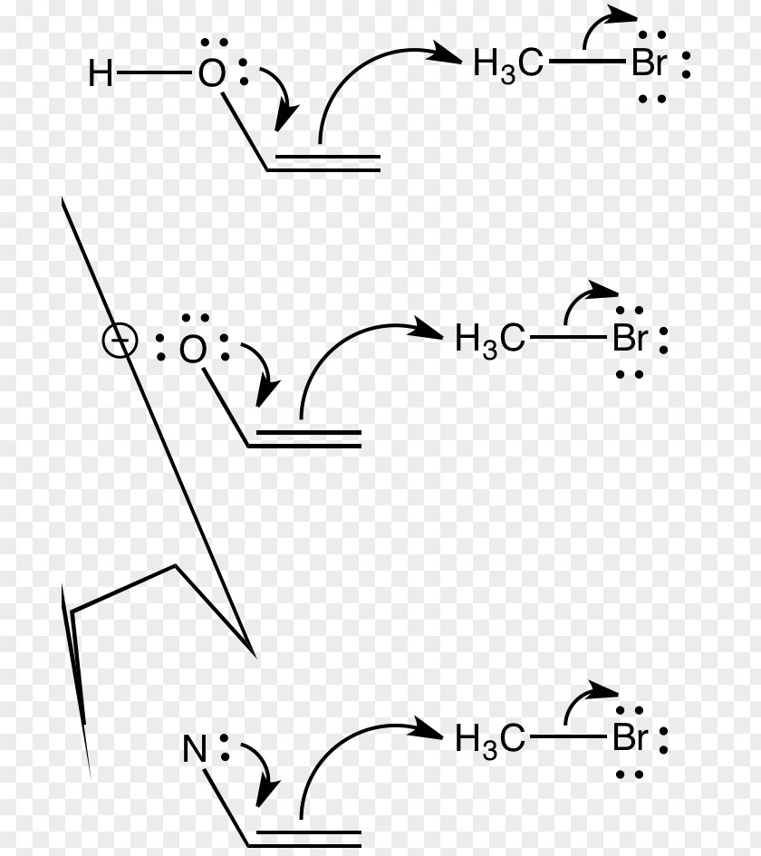 Nucleophile Chemistry Enolate Anion Lone Pair PNG