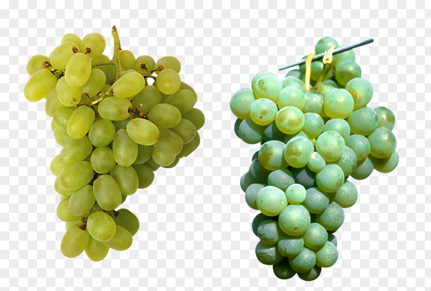 Two Bunches Of Grapes Juice Childrens Picture Dictionary Book Colors Fruit Grape PNG