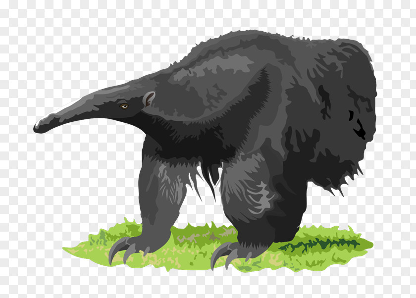 Anteater Cliparts Southern Tamandua Aardvark Clip Art PNG