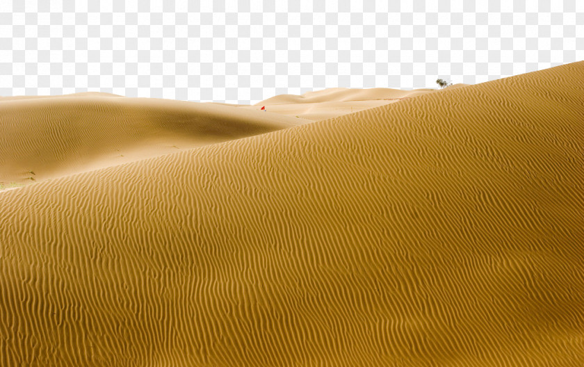 Desert Landscape Yellow Material Close-up PNG