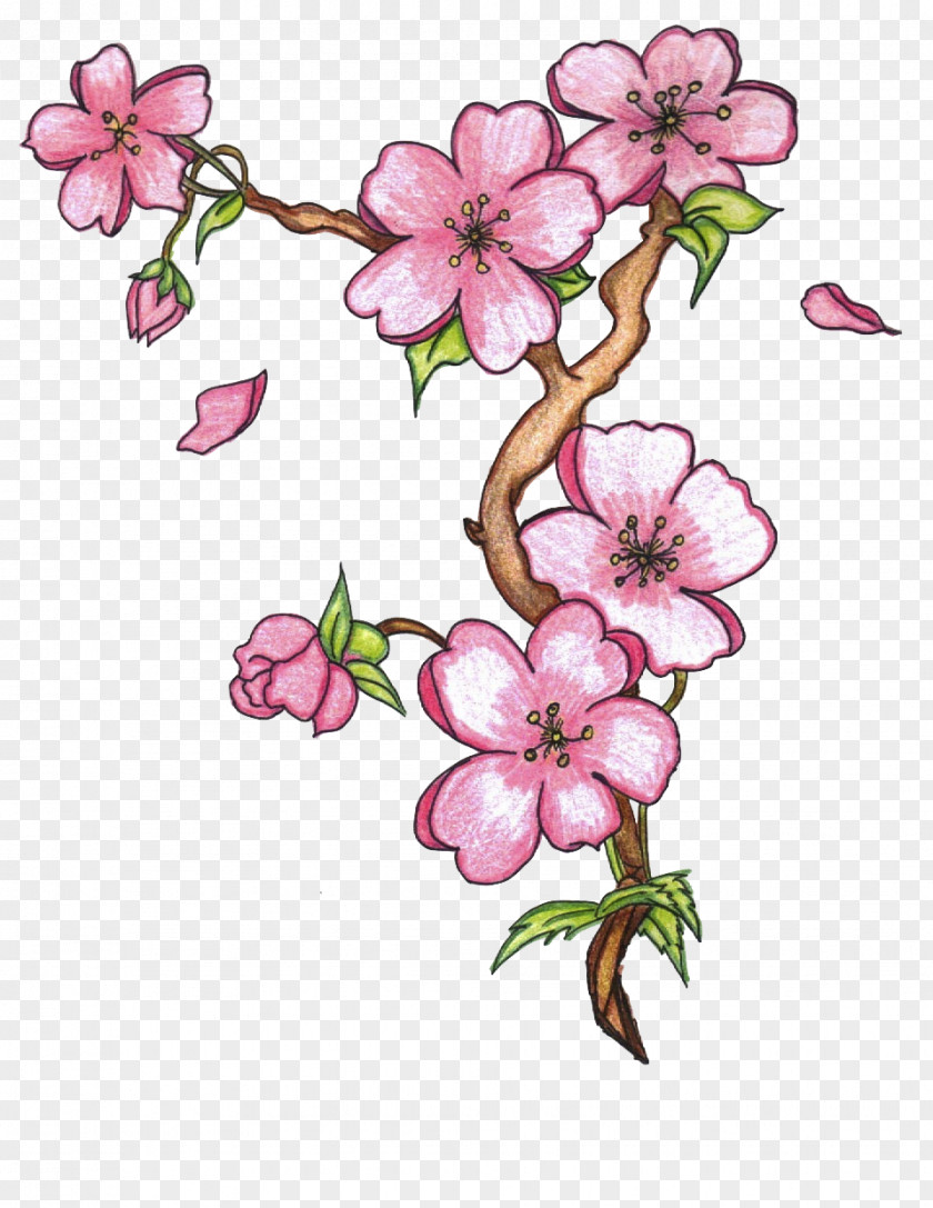 Flower Drawing Sketch Image Vector Graphics PNG