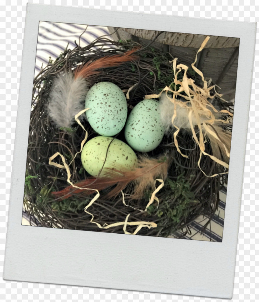 He Is Risen Bird Nest NEST+m Egg PNG