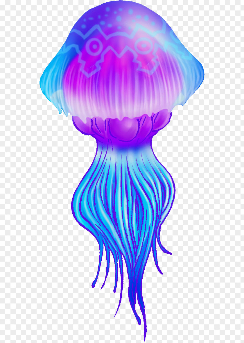 Jellyfish PNG clipart PNG