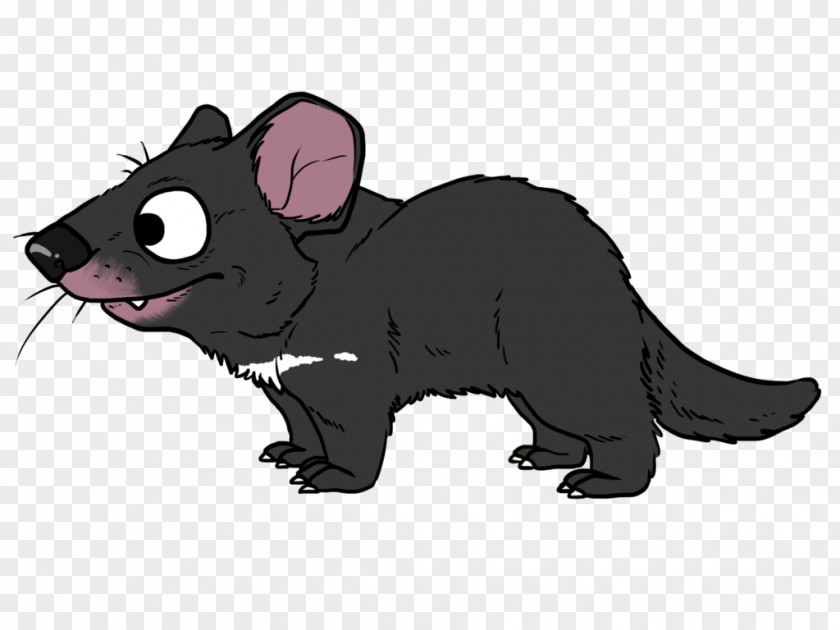 Mouse Whiskers Rat Cat Dog PNG