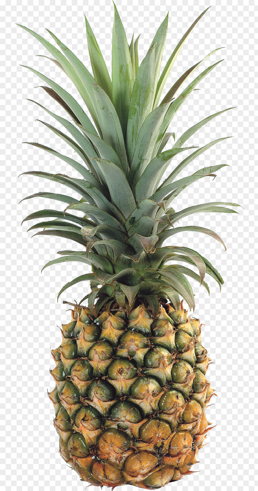 Pineapples Pineapple Upside-down Cake Tropical Fruit Food PNG