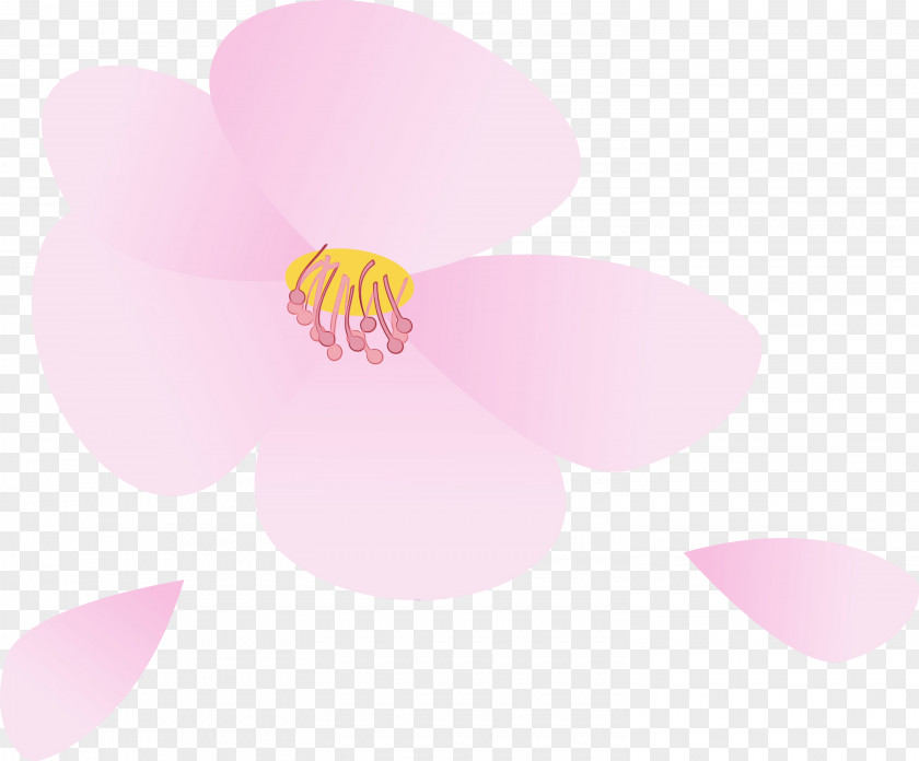 Pink Petal Flower Magenta Plant PNG