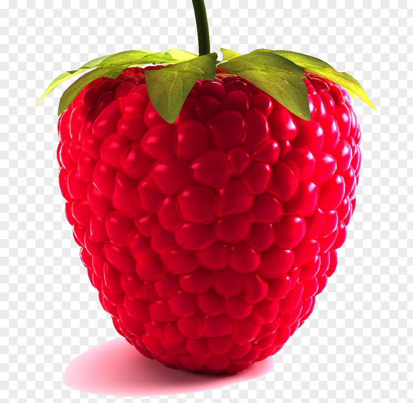 Raspberry Picture Strawberry Frutti Di Bosco Clip Art PNG