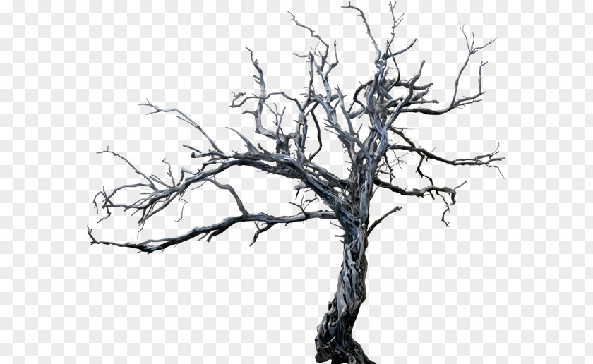 Arboles PNG