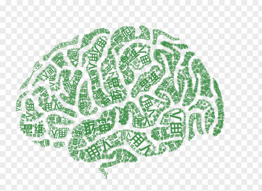 Brain Thinking Cerebrum Agy Human Thought Poster PNG