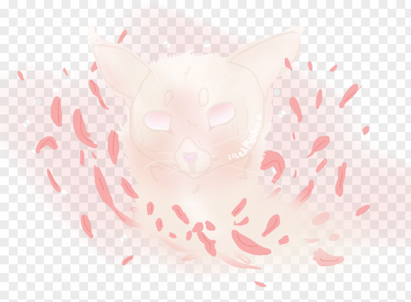 Iced Mocha Whiskers Kitten Desktop Wallpaper Snout Character PNG