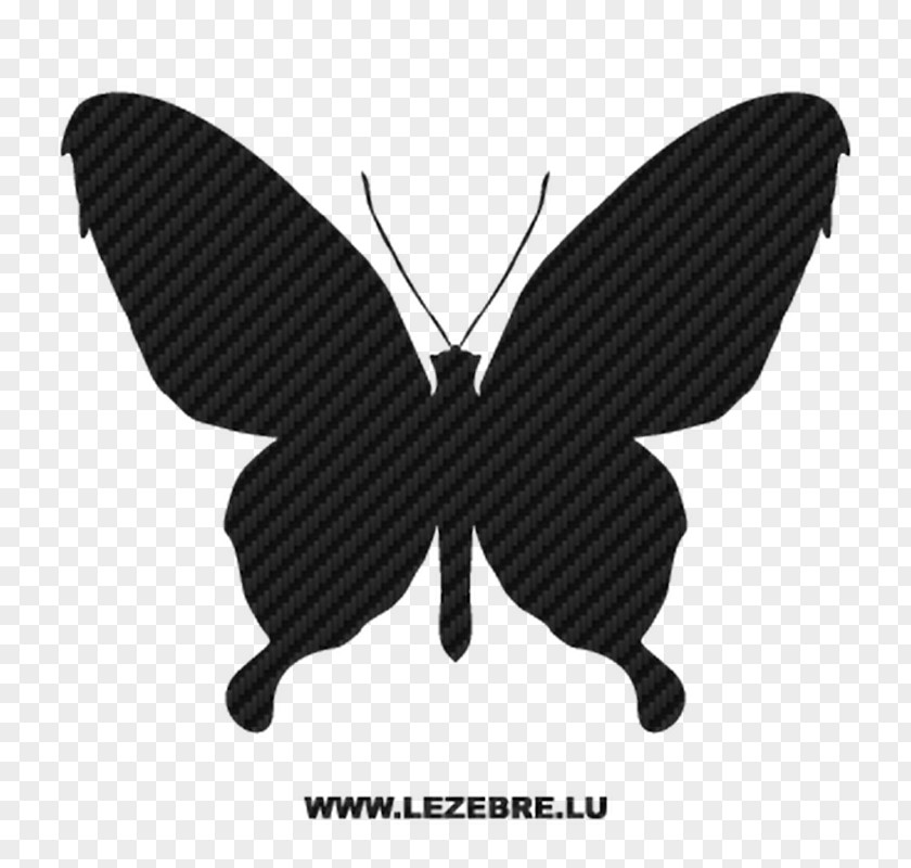 Papillon Movie Review Butterfly Vector Graphics Insect Image Illustration PNG