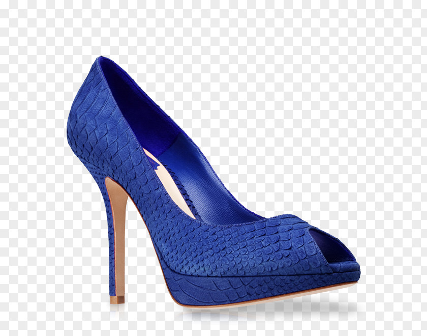 Pourpurine Christian Dior SE Shoe Sandal Blue PNG