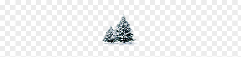 Christmas Snow Tree Creative PNG snow tree creative clipart PNG