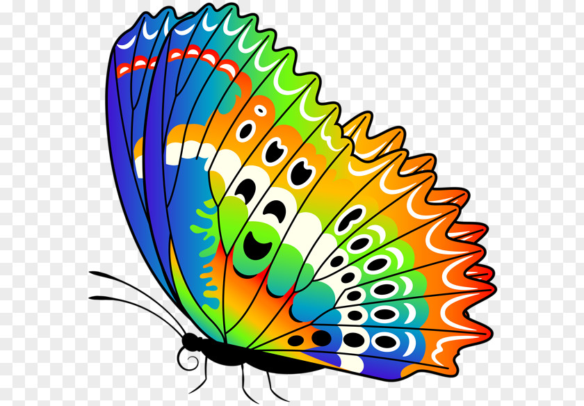 Colorful Butterfly Danish Foods Ramanlal Vithaldas & Co Mewawala Artikel Clip Art PNG