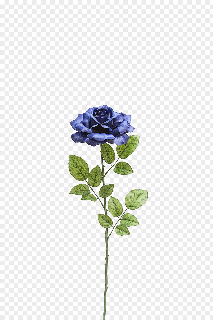 Petal Violet Blue Rose PNG