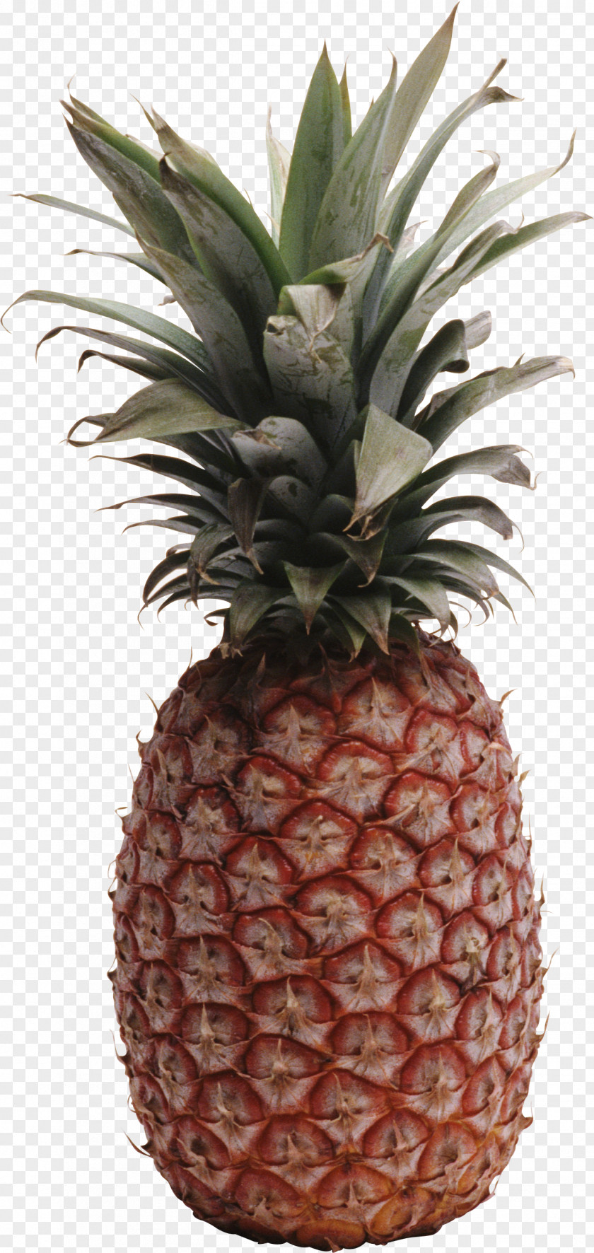 Pineapple Image, Free Download Fruit Clip Art PNG