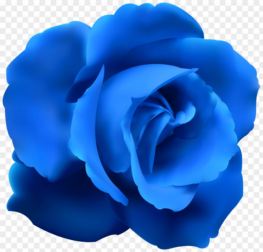 Blue Rose Cliparts Flower Clip Art PNG