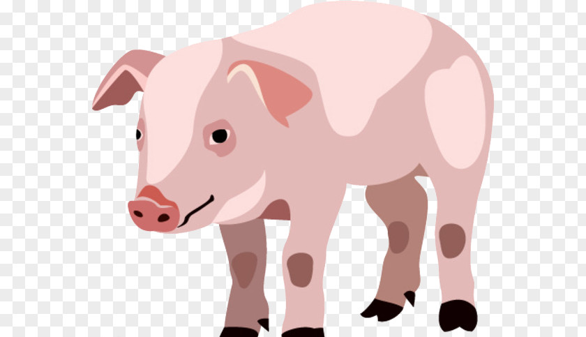 Cartoon Hand Painted Pig Silhouette Animal Piglet Domestic PNG