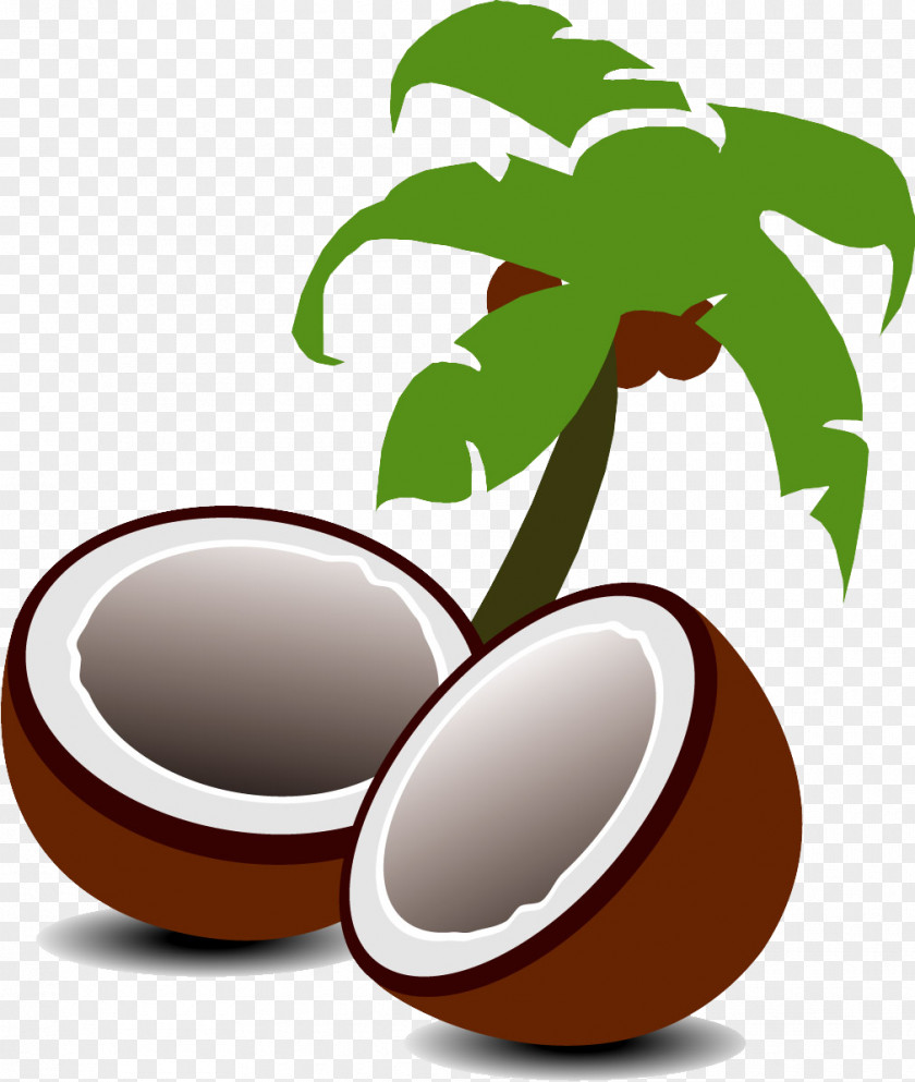Coconut Water Milk Fruit Tree PNG