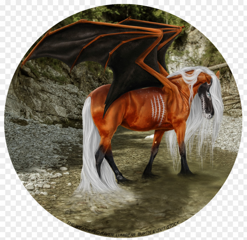 Horse Winged Unicorn Art Drawing PNG