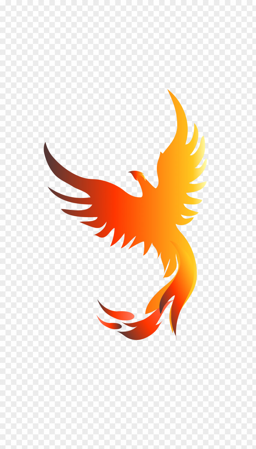 Phoenix Royalty-free Stock Photography Clip Art PNG