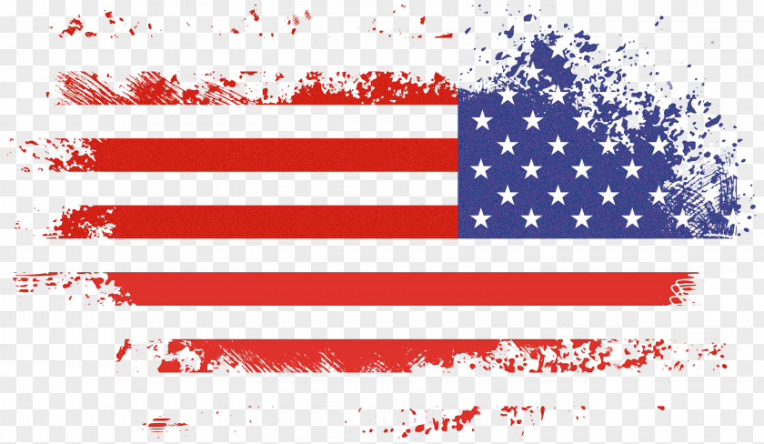 Veterans Day Flag Usa PNG
