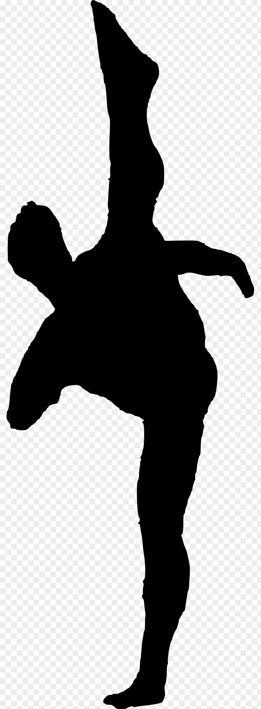 Basketball Silhouette Photography PNG