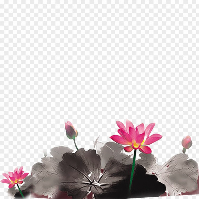 Classical Lotus Chinese Painting Mid-Autumn Festival Photography Ink Wash PNG