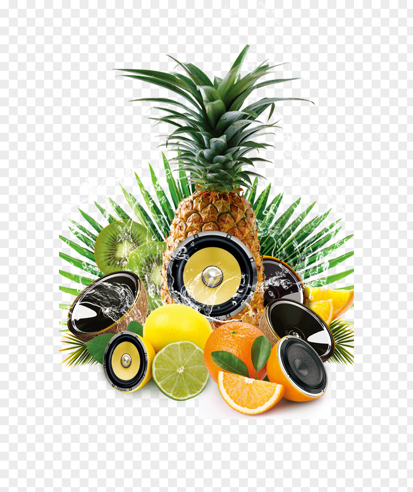 Fruits And Musical Elements Party Computer File PNG