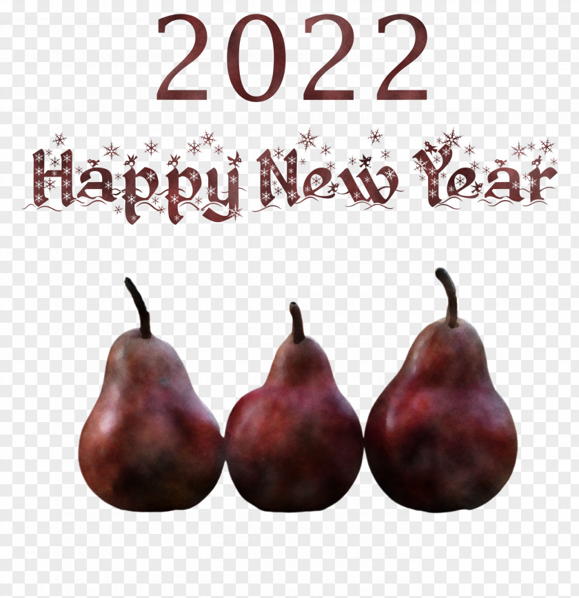 2022 Happy New Year PNG