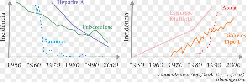 Child Immune System Immunology Disease Allergy PNG