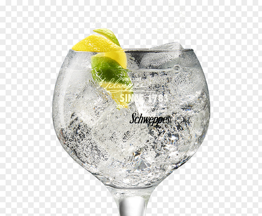 Cocktail Gin And Tonic Water Vodka Tanqueray PNG