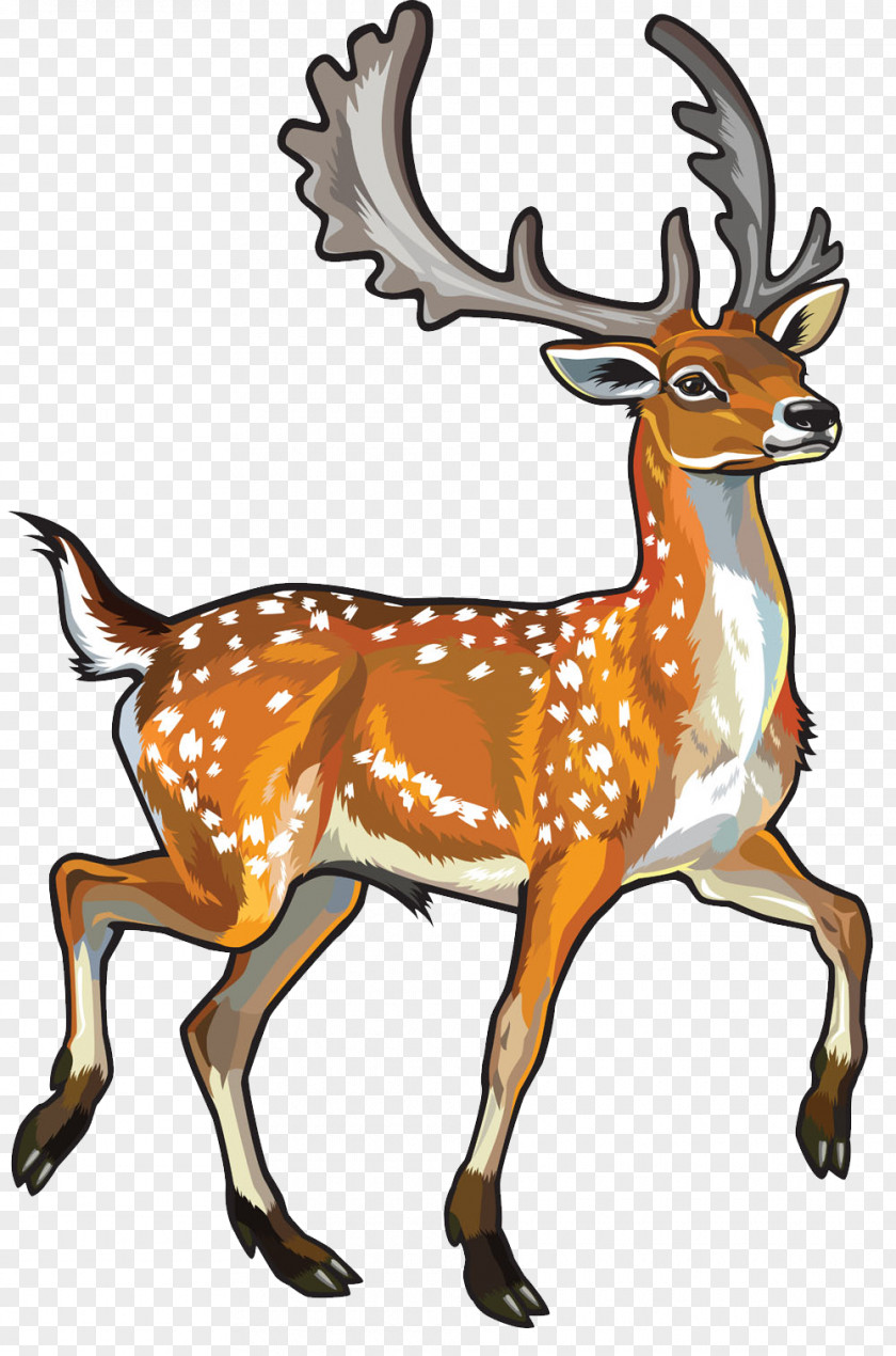 Deer Fallow Chital Clip Art PNG