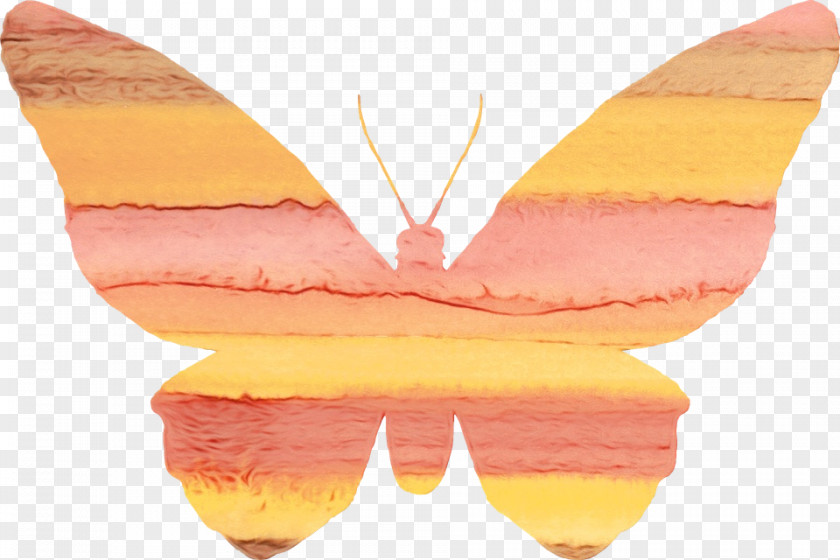 Emperor Moths Peach Watercolor Butterfly Background PNG