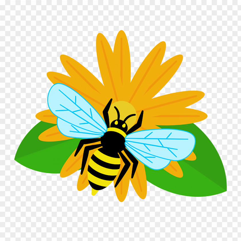 Honey Bee Bees Yellow PNG