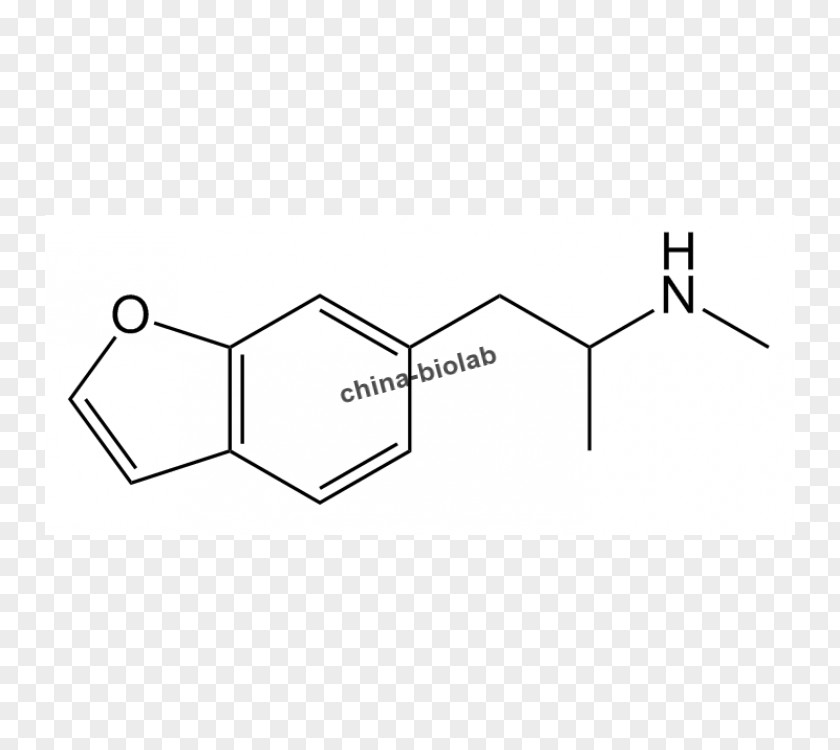 Albuterol Drug Metabolism Phenylephrine Adrenergic Receptor PNG