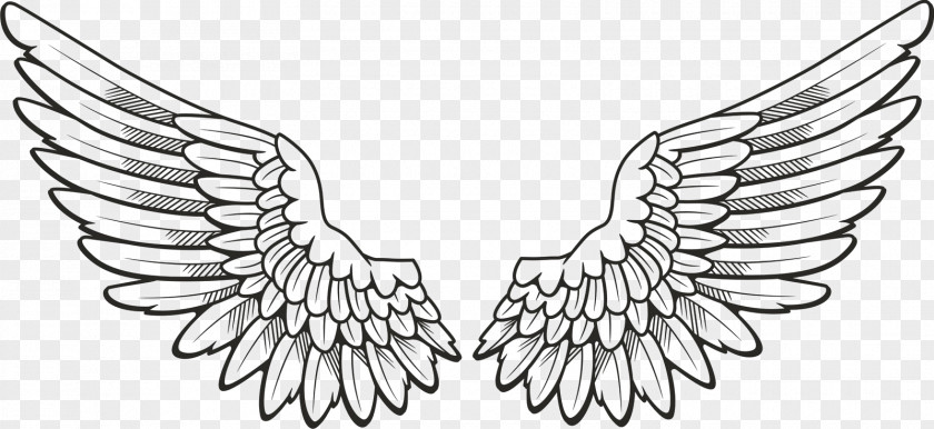 Angel Drawing Clip Art PNG