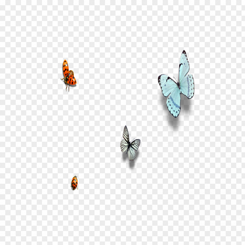 Butterfly Insect Ladybird Euclidean Vector PNG