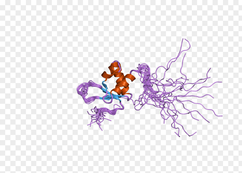 Dna Polymerase I Alpha-Amanitin RNA II Promoter PNG