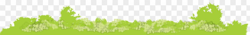 Energy Wheatgrass Lawn Grassland Desktop Wallpaper PNG