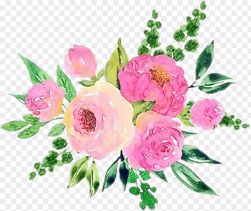 Garden Roses Cabbage Rose Cut Flowers Floral Design PNG