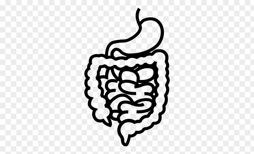 Health Digestion Gastrointestinal Tract Disease Human Digestive System PNG