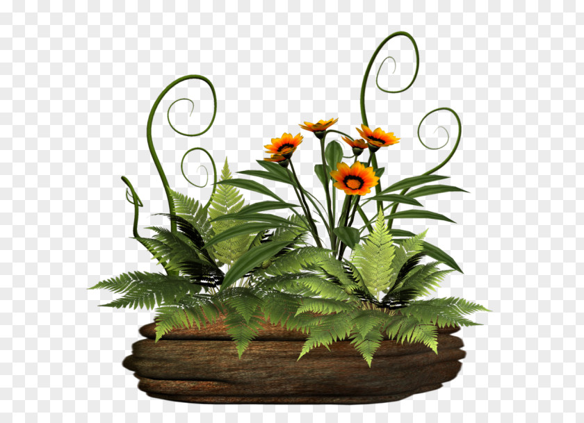 Image Download Plants GIF PNG