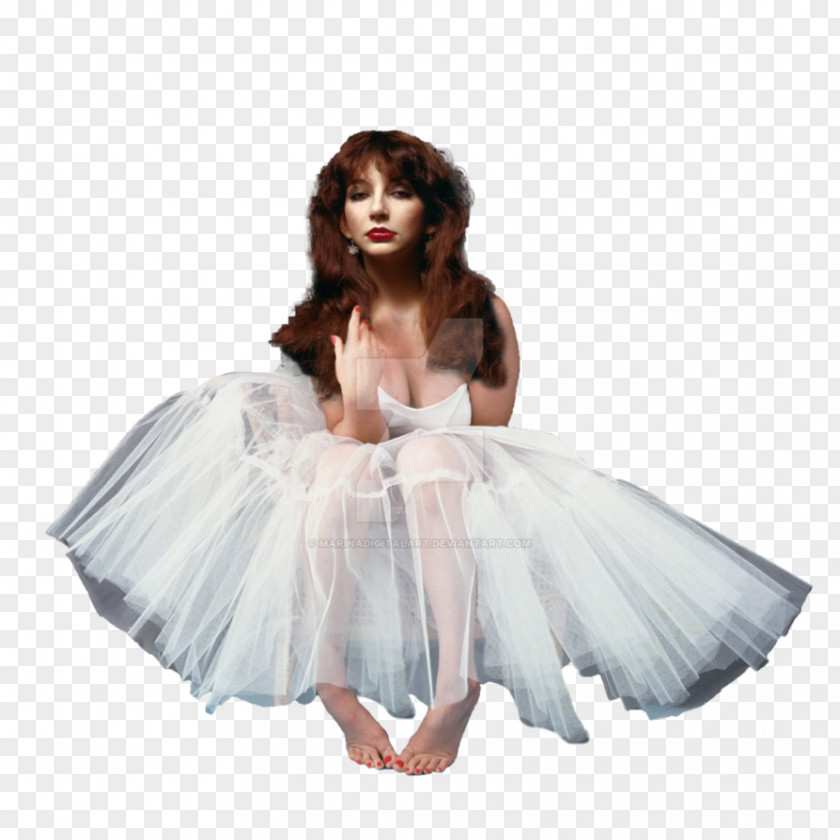 Kate Bush Dress Gown Tutu Skirt Ballet PNG